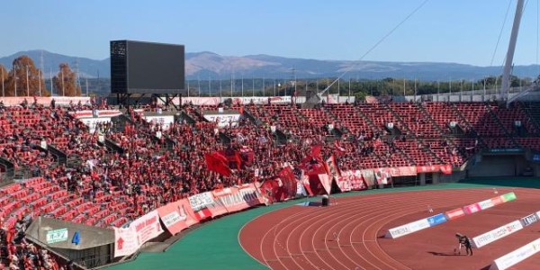 华体会(hth)网页版-萌萌萌！熊本熊观战日本联赛最后一个比赛日